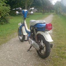 Suzuki FZ50 