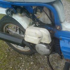 Suzuki FZ50 