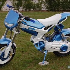 Suzuki street (maggie) byttet