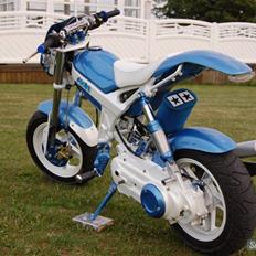 Suzuki street (maggie) byttet