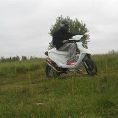 PGO Hot50 * Snehvide *