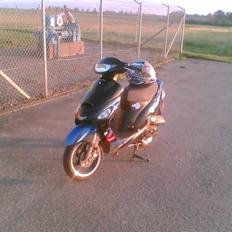 Giantco Sprint Sport