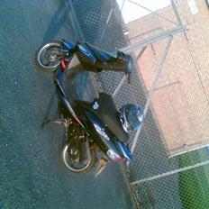 Giantco Sprint Sport