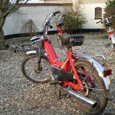Puch maxi (solgt)