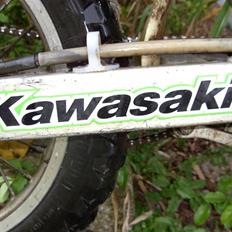 Kawasaki Kx 80 