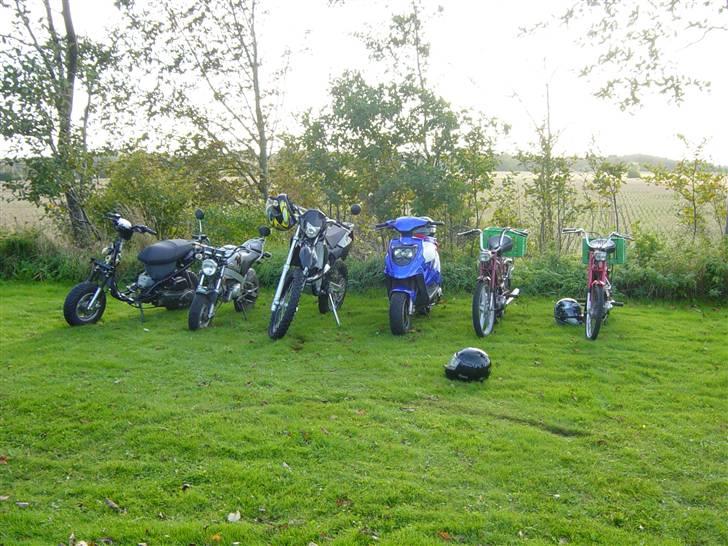 CPI Supercross SX. LC.Byttet! - Lars(hot), Søren(dax), Mig(cpi), Grumbler(Hot), Jonas(puch), Derosche(puch) billede 17