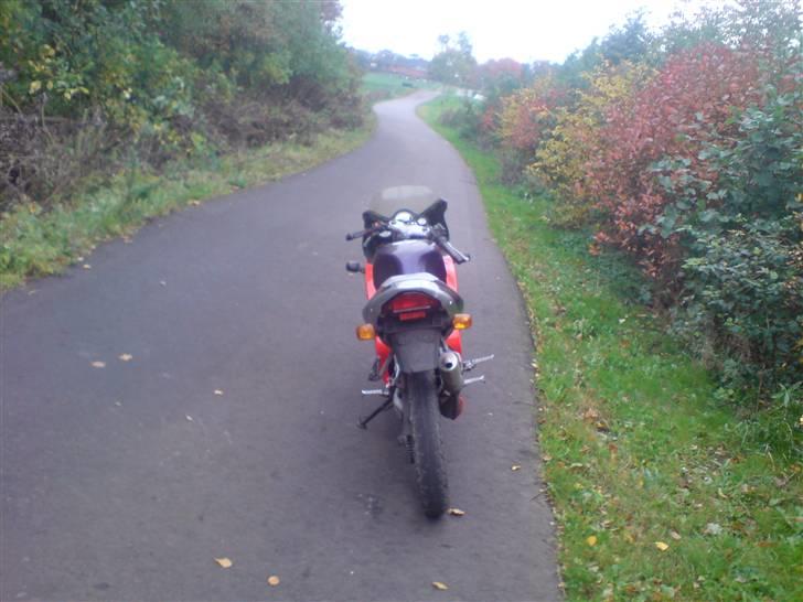 Aprilia RS 50 LC  ÐÐ SOLGT/BYTTET billede 7