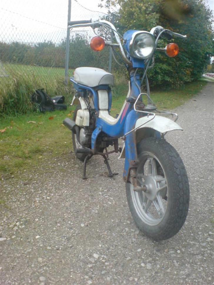 Suzuki FZ50  billede 8