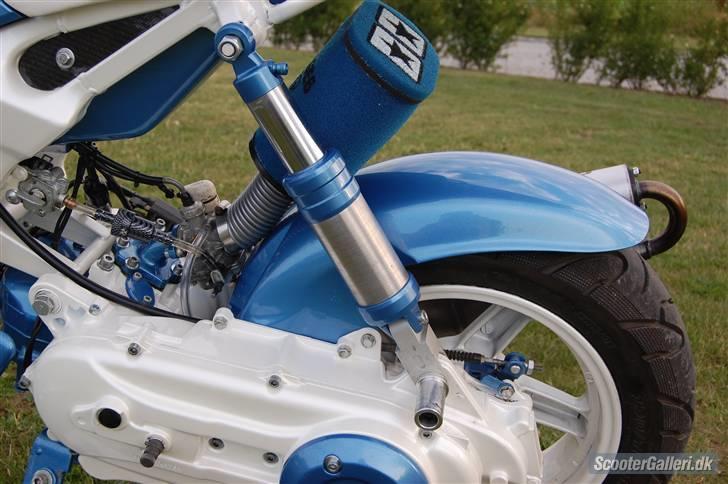 Suzuki street (maggie) byttet billede 8