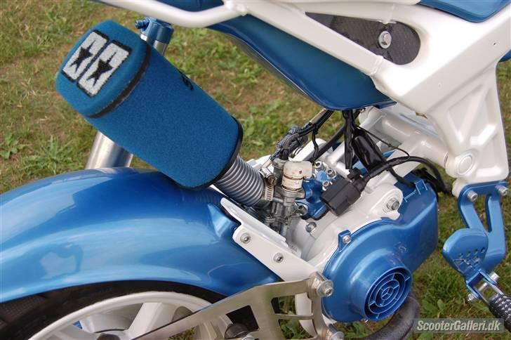 Suzuki street (maggie) byttet billede 9