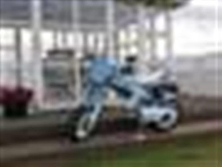 Suzuki street (maggie) byttet billede 12