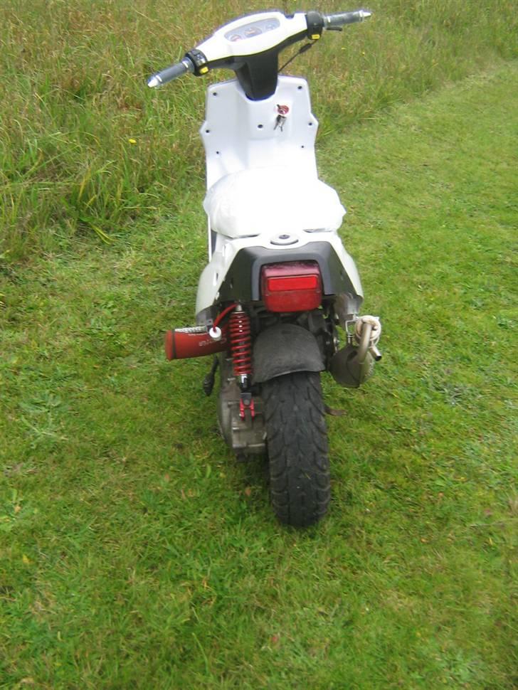 PGO Hot50 * Snehvide * billede 4