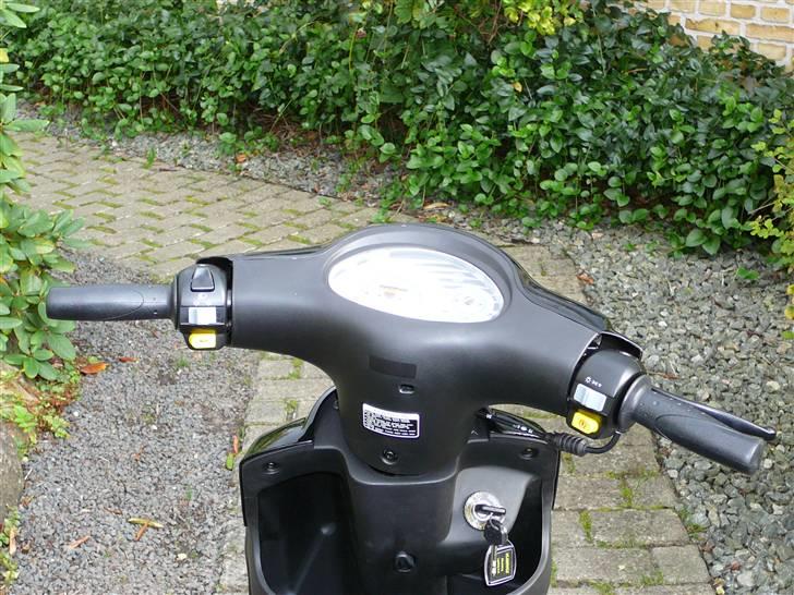 PGO black magic billede 4