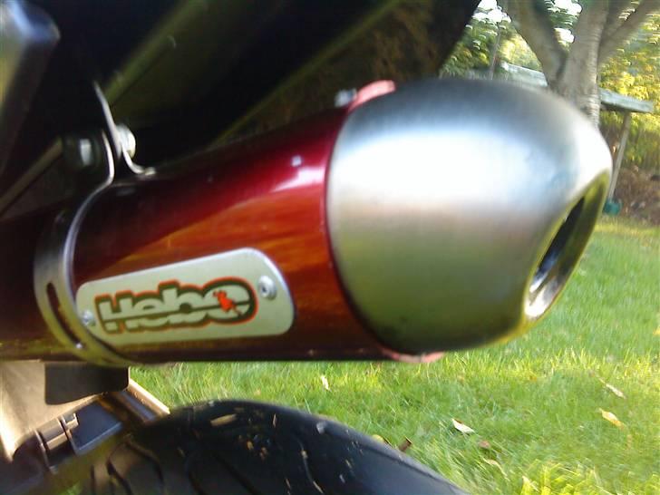 Derbi Senda xstreme/rcr billede 5