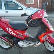 Peugeot speedfight 2 206 Bytte
