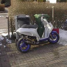 Piaggio Nrg/typhon