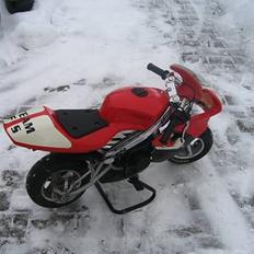 MiniBike Daytona SOLGT