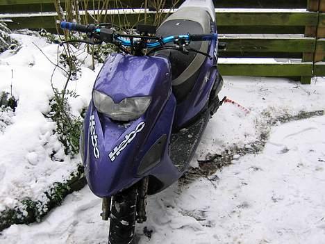 Honda Sfx SOLGT billede 1