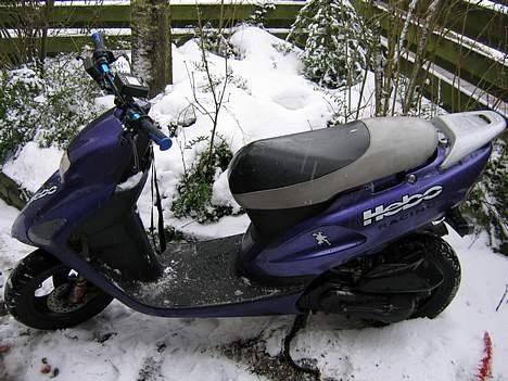 Honda Sfx SOLGT billede 2