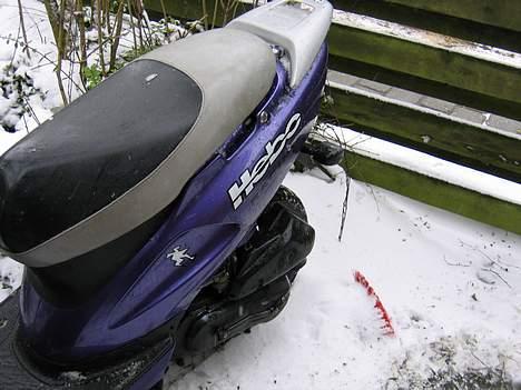 Honda Sfx SOLGT billede 4