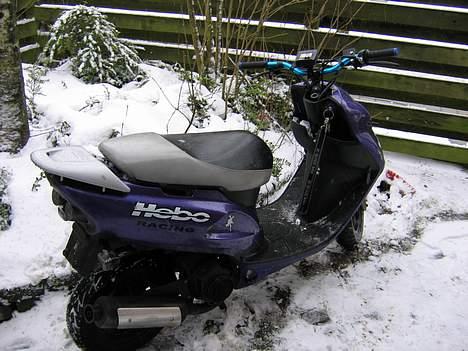 Honda Sfx SOLGT billede 5