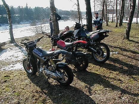 Suzuki              Street Magic billede 10