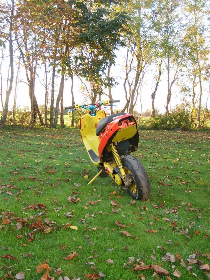 PGO Hot 50 (Solgt)  billede 3