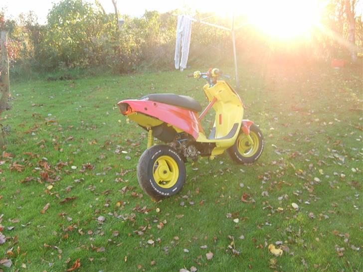 PGO Hot 50 (Solgt)  billede 4