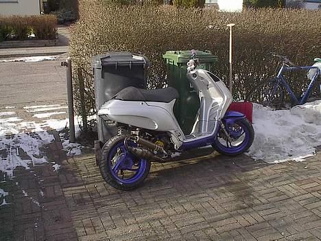 Piaggio Nrg/typhon billede 1