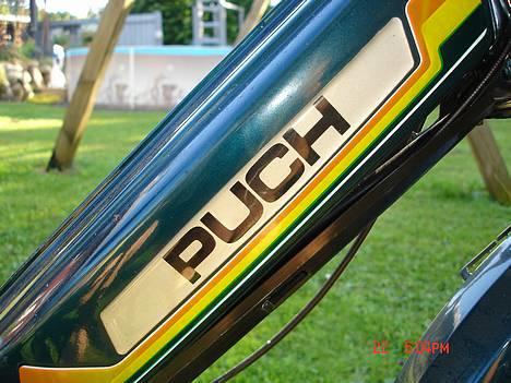 Puch Maxi (solgt) billede 6