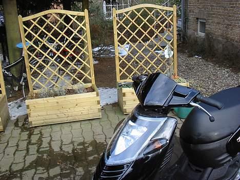 Aprilia Sonic GP billede 6