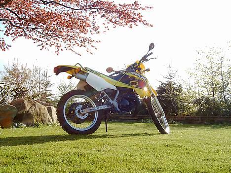 Suzuki Rmx (vinterhi) billede 1