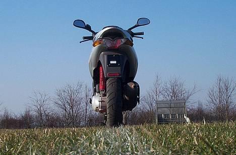 Gilera Runner 50sp (totalskadet) - Har fjernet den bagerste "mudderplade" billede 4