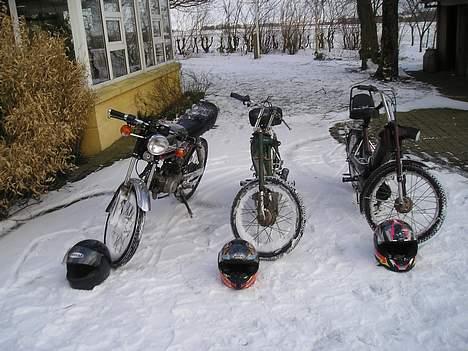 Puch Maxi K -Team Grækerne- billede 1