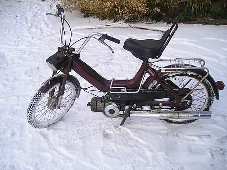 Puch Maxi K -Team Grækerne- billede 4