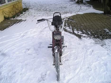 Puch Maxi K -Team Grækerne- billede 5