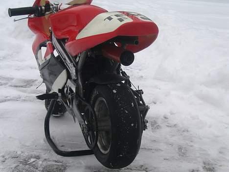 MiniBike Daytona SOLGT billede 5