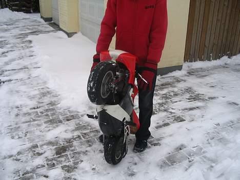 MiniBike Daytona SOLGT billede 6