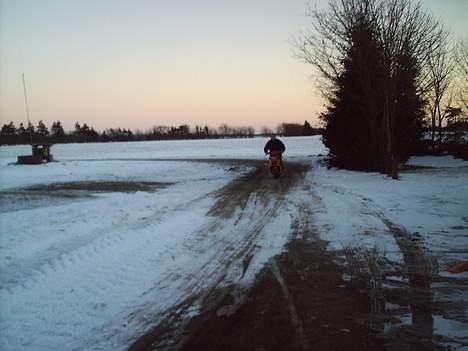 Aprilia sonic solgt billede 8