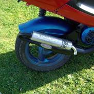 PGO black magic (SOLGT)