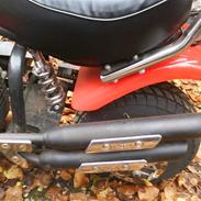 MiniBike Mini harley