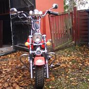 MiniBike Mini harley