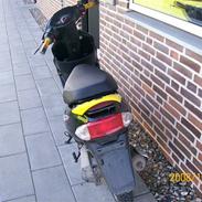 Giantco sprint sport