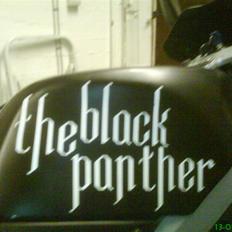 Aprilia rs50 The Black Panther