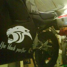 Aprilia rs50 The Black Panther