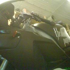 Aprilia rs50 The Black Panther