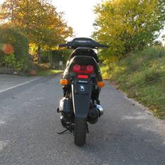 Honda SFX -  2002 - SOLGT