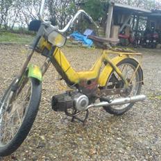 Puch maxi k  bane racer
