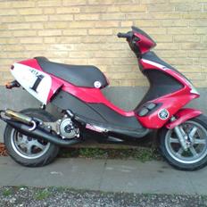 Benelli 491 LC DD DMU Projekt