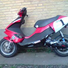 Benelli 491 LC DD DMU Projekt